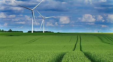 Integer vestibulum justo id sem viverra gravida. Nam vel orci suscipit, finibus justo.