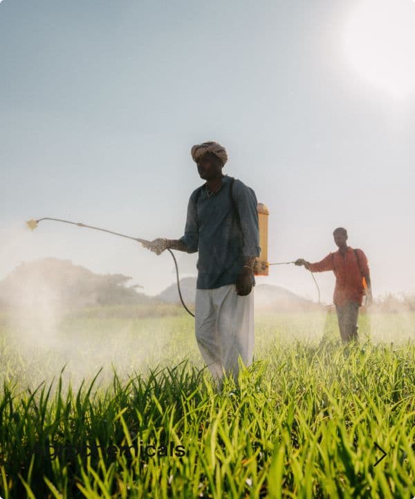 Agrochemicals